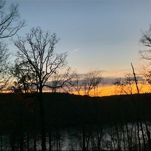 Meet your Posher, Sammy